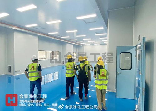 金山高新區生物醫藥新工廠投用 總投資3.5億元，合景凈化工程公司引領行業新篇章